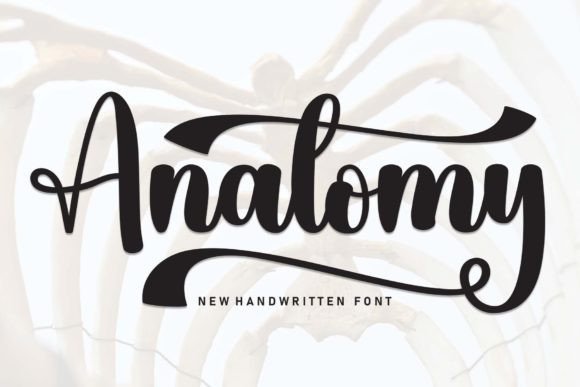 Anatomy Font: A Sweet and Friendly Handwritten Typeface
